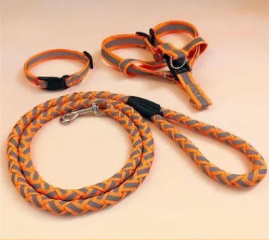Night Glow Dog Leash