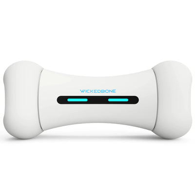 SmartBone Interactive Dog Bone