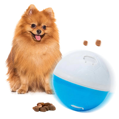 Crazy Ball - Interactive Dog Treat Dispenser
